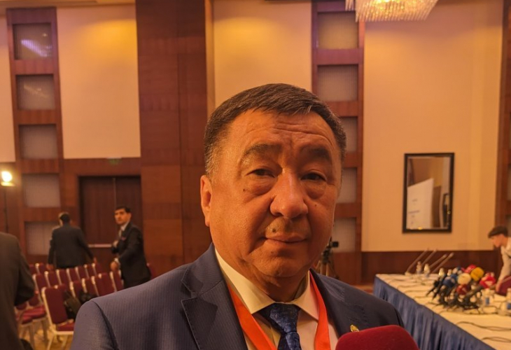 All election rules observed at Azerbaijan's polling stations - member of Kyrgyz CEC