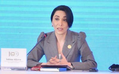 Ombudsman: Parliamentary elections held with high activity, democratic, free, transparent and fair